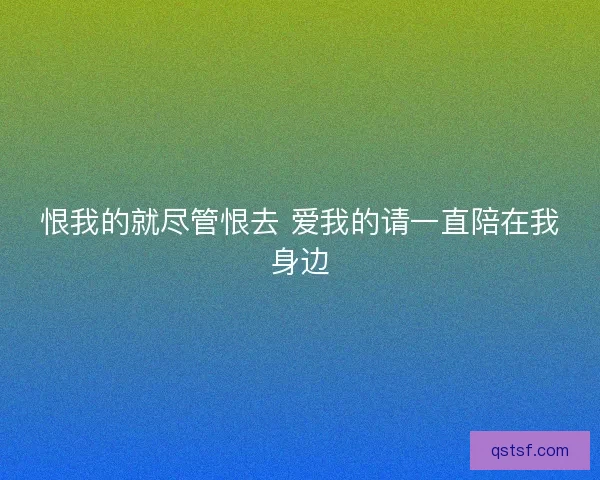 恨我的就尽管恨去 爱我的请一直陪在我身边