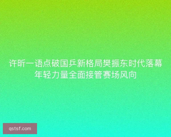 许昕一语点破国乒新格局樊振东时代落幕年轻力量全面接管赛场风向